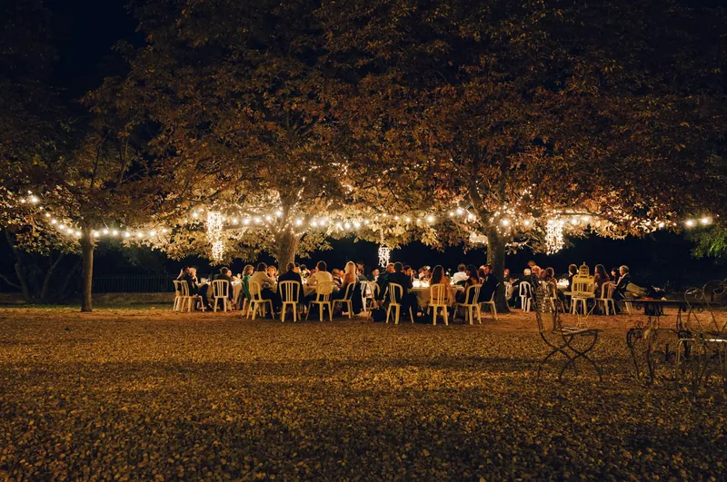 Guests dining at night beneath trees strung with warm festoon lights
