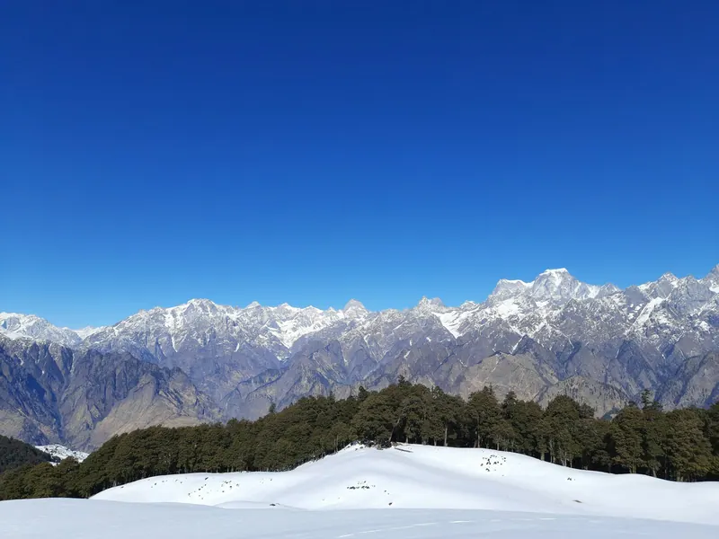 Snowy slopes and conifer forest below the Himalayan range at Auli