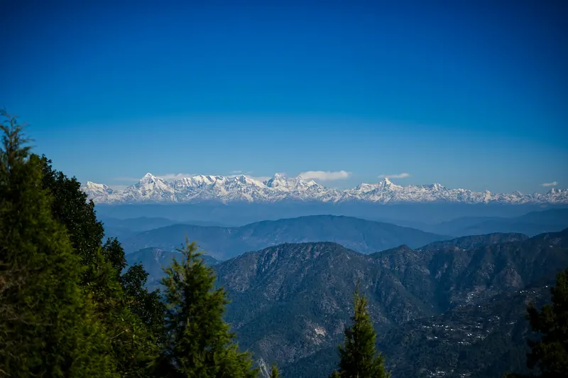 Snow-capped Nanda Devi range seen beyond pine-covered hills from Nainital
